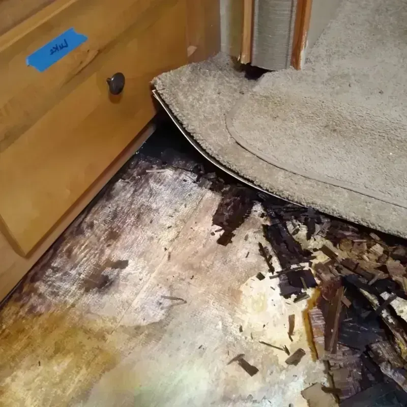 Best Wood Floor Water Damage Service in Mount Sinai, NY